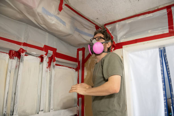 Best Crawl Space Mold Remediation  in Alma, GA