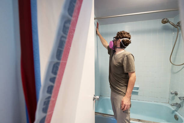 Best Dehumidification Services  in Alma, GA