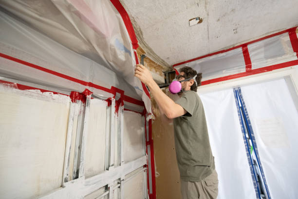 Best Mold Odor Removal Services  in Alma, GA